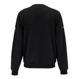 Свитшот рабочий, черный DeWalt 100 YEAR LOGO SWEATSHIRT (размер XL) (DWC237-001-XXL)