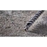 Бур 12х200 мм SDS+ Elite DeWALT (DT8934)