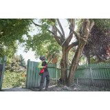 Высоторез телескопический MILWAUKEE M18 FTPS30-121, 300 мм (4933499227)