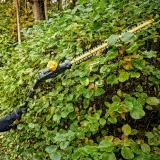 Кусторез аккумуляторный бесщёточный со штангой DeWALT DCMPH566N