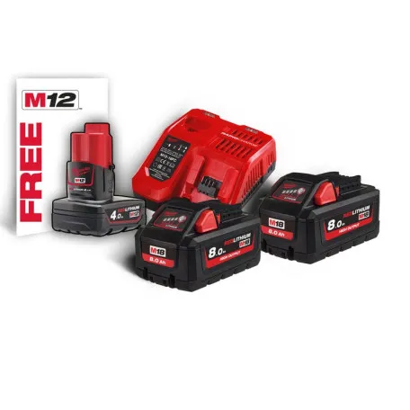 Энергокомплект MILWAUKEE M18 HNRG-802 (В8 2шт; З/П M12-18FC) (4933471073)