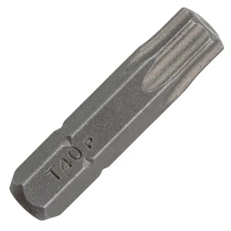 Биты Bosch Standard Torx T40, 25 мм, 2 шт. (2609255938)