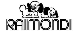 Официальный дилер Raimondi в Украине — премиальные инструменты от SYNERGY TOOL
