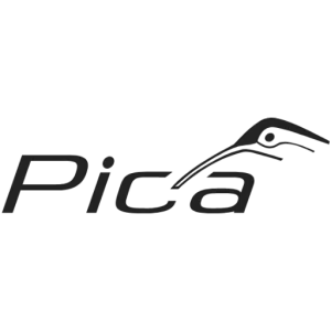 Pica